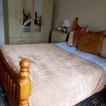 Newly Decorated Spacious Room, Women Only